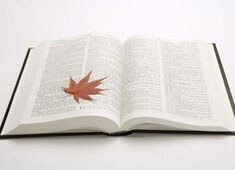 阿贾克斯大胜对手，提前晋级淘汰赛