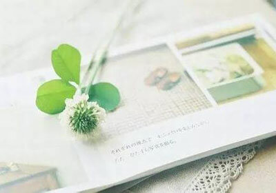 广东队以微弱优势击败了福建队，保持领先位置